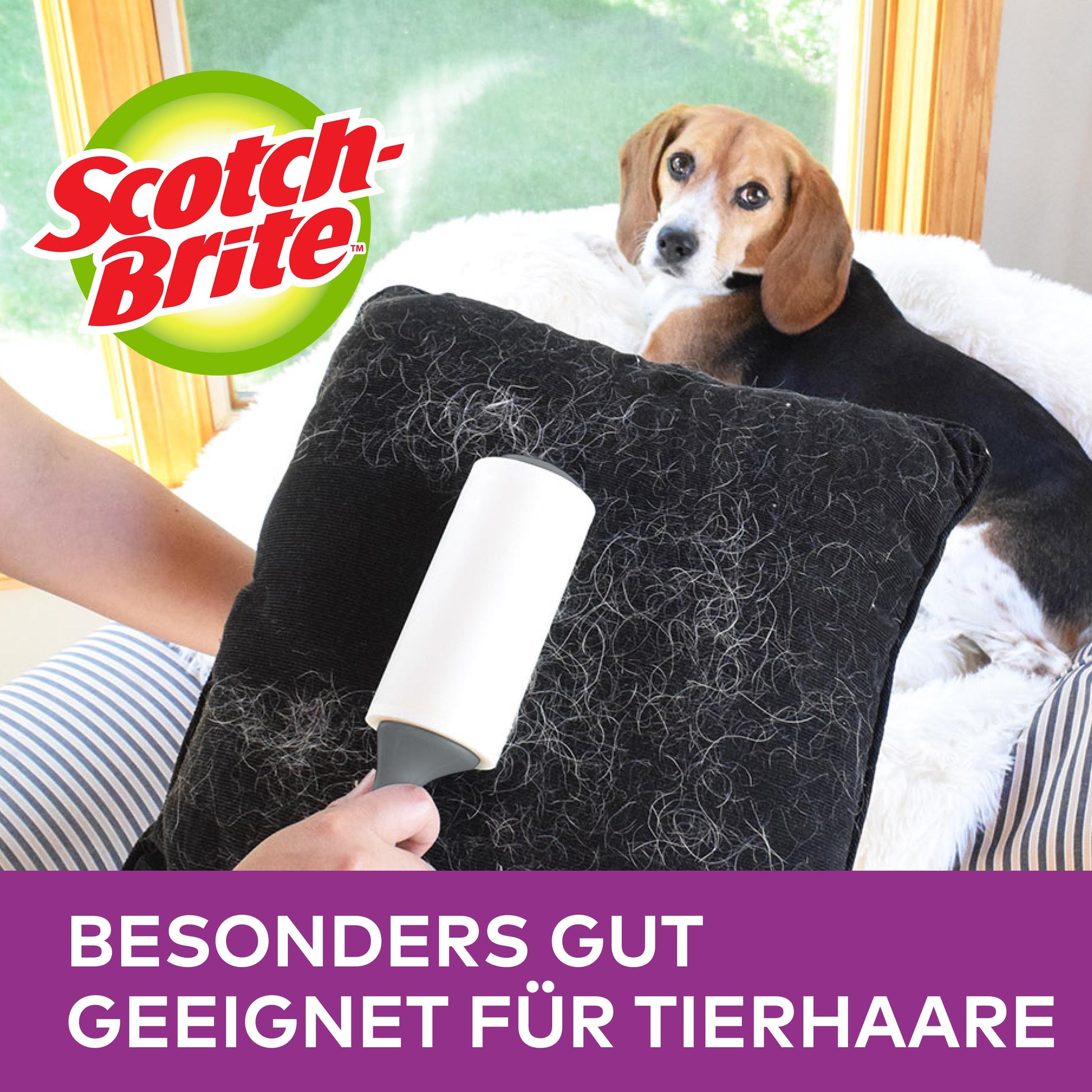 Jemand verwendet die Scotch-Brite™ Pet Extra Sticky* Ersatzrolle für Tierhaare (48 Blatt, 1 Stück) von 3M Deutschland GmbH, um Tierhaare von einem schwarzen Kissen zu entfernen. Ein Hund ruht sich auf einer Couch aus. Text: "BESONDERS GUT GEEIGNET FÜR TIERHAARE.