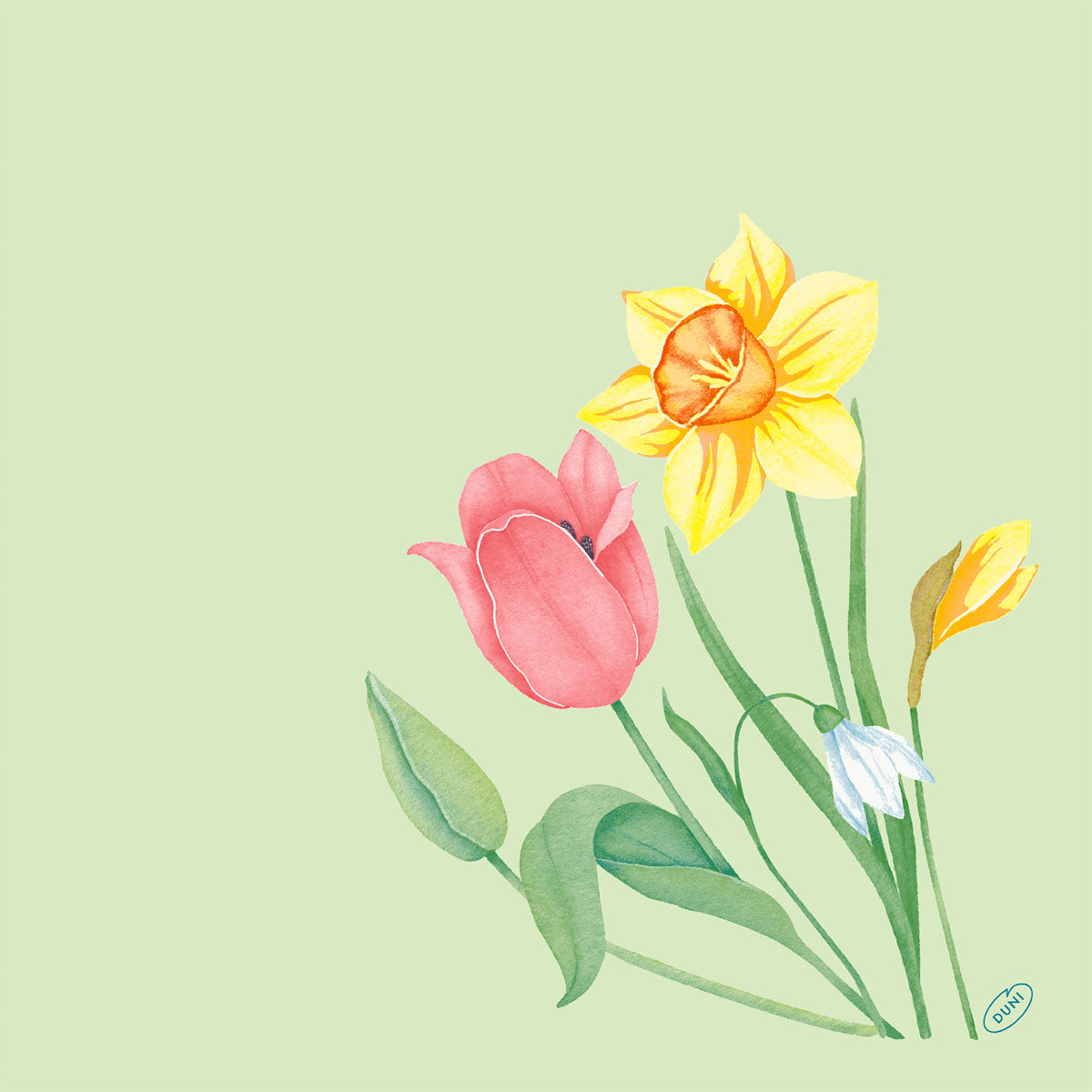 Illustration einer rosa Tulpe, einer gelben Narzisse, einer kleinen weißen Blüte und einer gelben Knospe auf einem hellgrünen Hintergrund - ideal für den Bio-Dunisoft-Serv. 40x40cm von Duni GmbH.