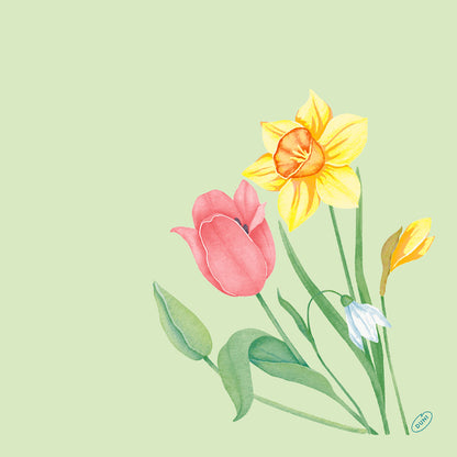 Illustration einer rosa Tulpe, einer gelben Narzisse, einer kleinen weißen Blüte und einer gelben Knospe auf einem hellgrünen Hintergrund - ideal für den Bio-Dunisoft-Serv. 40x40cm von Duni GmbH.