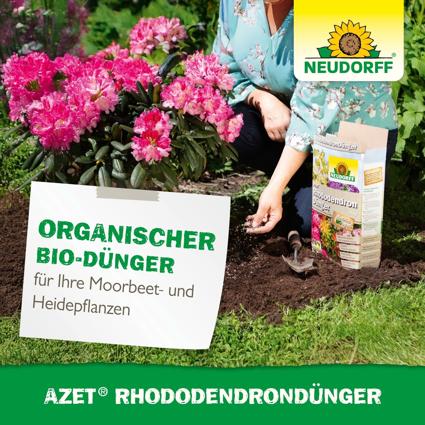 Nogen planter lyserøde rhododendron og azalea og holder jorden ved siden af Azet RhododendronGødning fra Neudorff Shop. Et skilt viser produkt- og planteinformationer i havebedet.