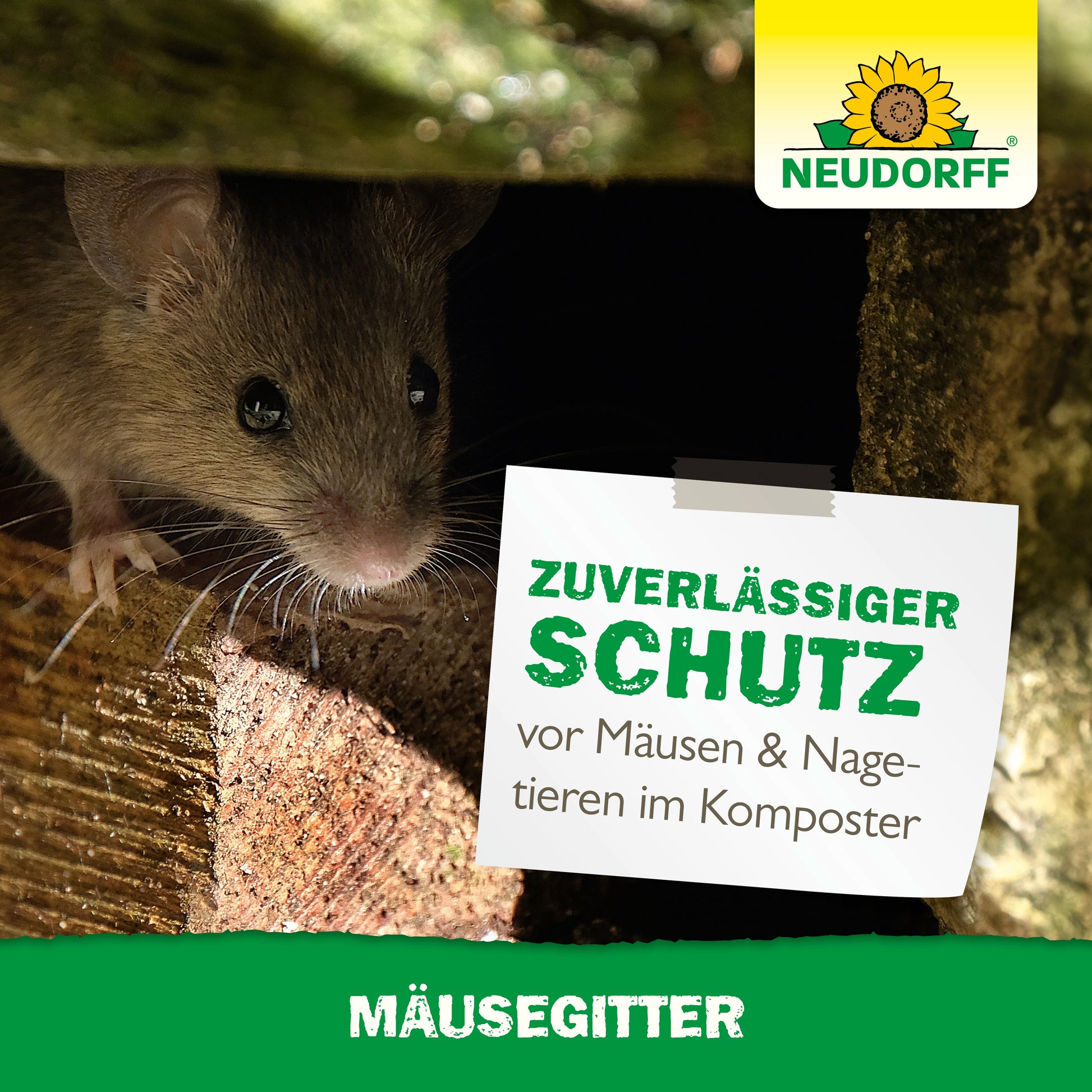 Eine Maus späht aus einer Lücke zwischen Ziegeln. Das Bild wirbt für den "zuverlässigen Schutz vor Mäusen & Nagetieren in Kompostern" mit dem Neudorff Shop Mäusegitter.