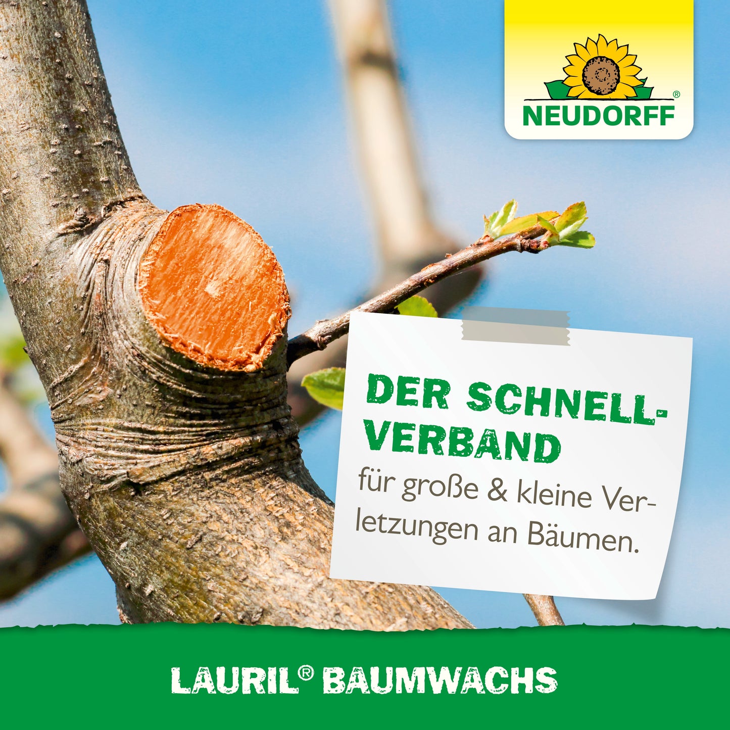 Ein frisch geschnittener Baumast wird mit Lauril Baumwachs behandelt. Das Logo des Neudorff Shops hebt Lauril Baumwachs zum Verschließen von Wunden an Obstbäumen und zur Pflege von Baumwunden hervor.