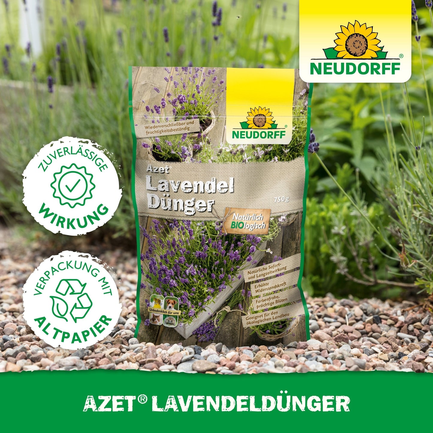 En pose Neudorff Shop Azet LavendelGødning ligger på en havegang af grus ved siden af lavendel med blå-violette blomster. På emballagen står der "miljøvenlig" på tysk.