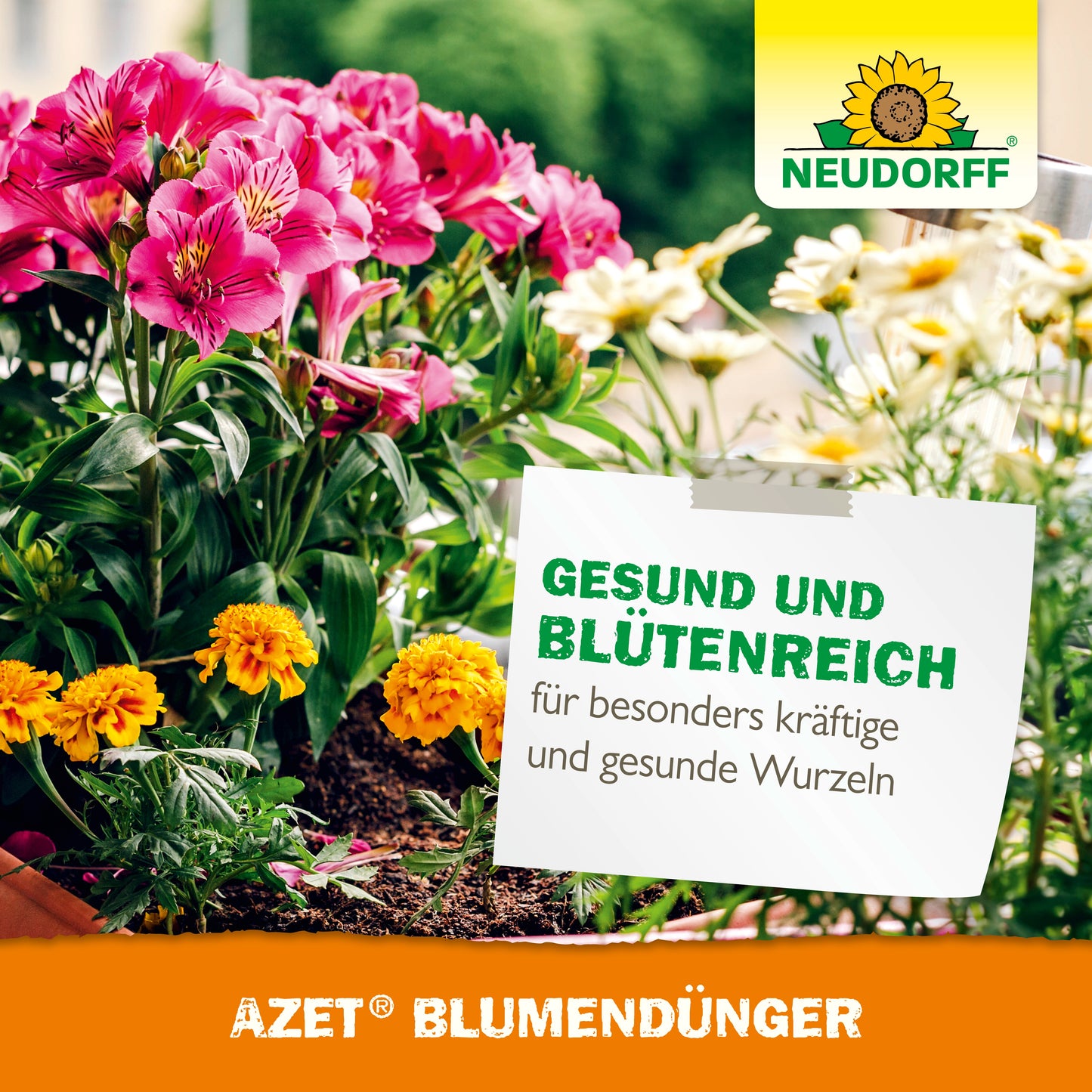 Ein Blumenkasten mit blühenden rosa und gelben Blumen steht unter einem deutschen Schild, das für Azet BlumenDünger flüssig für gesundes Wachstum wirbt. Das Sonnenblumen-Logo des Neudorff Shops erscheint in der oberen rechten Ecke.