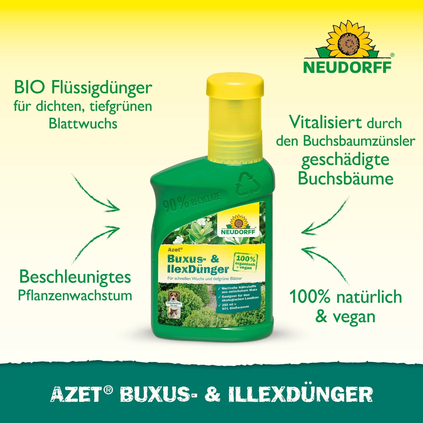En flaske Neudorff Shop Azet Buxus- & IlexGødning flydende står på en grøn overflade. Teksten fremhæver den organiske, 100% naturlige og veganske formel, der fremmer vækst og revitaliserer buksbom og andre stedsegrønne potteplanter.
