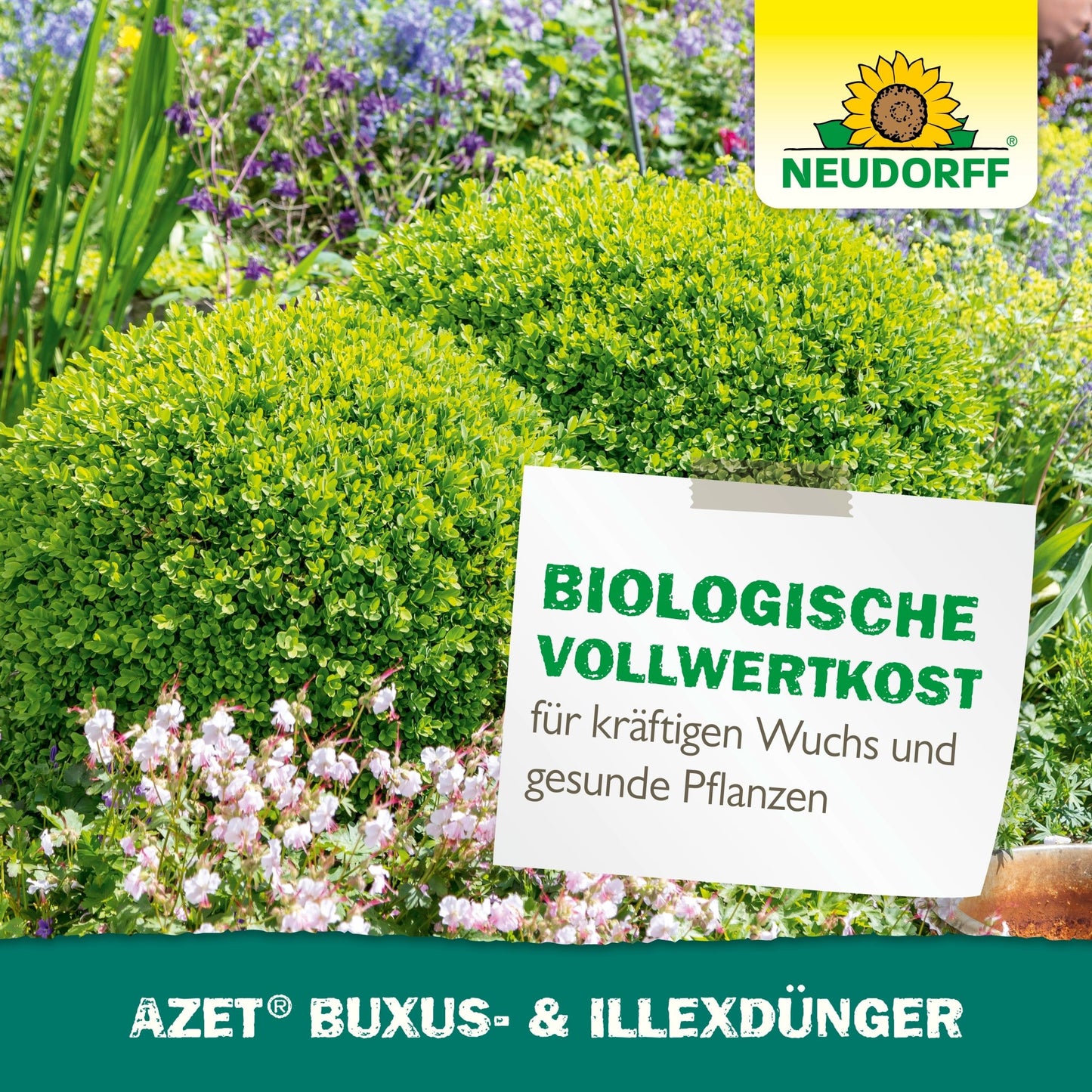 En havescene med frodig buksbom og blomster, plus et skilt fra Neudorff Shop: "Biologisk fuldkost til kraftig vækst og sunde planter. Azet Buxus- & IlexGødning flydende." Ideel til stedsegrønne krukkeplanter.