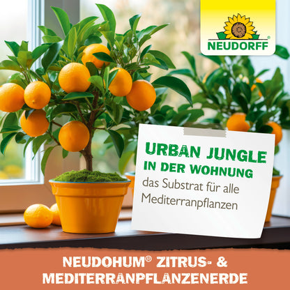NeudoHum Citrus & Middelhavsplanter Jord