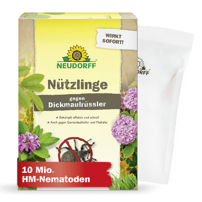 En Neudorff Shop nyttedyr mod snudebiller boks med branding, blomster, biller og "10 mio. HM-nematoder" tilbyder en effektiv have- og larveskadedyrsbekæmpelse. HM-nematoder" tilbyder effektiv have- og larveskadedyrsbekæmpelse. Bag kassen er en hvid pose delvist synlig.
