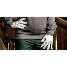 NITRAS bomuldsjersey handsker, naturlig bomuldsjersey | Pakke (12 par)