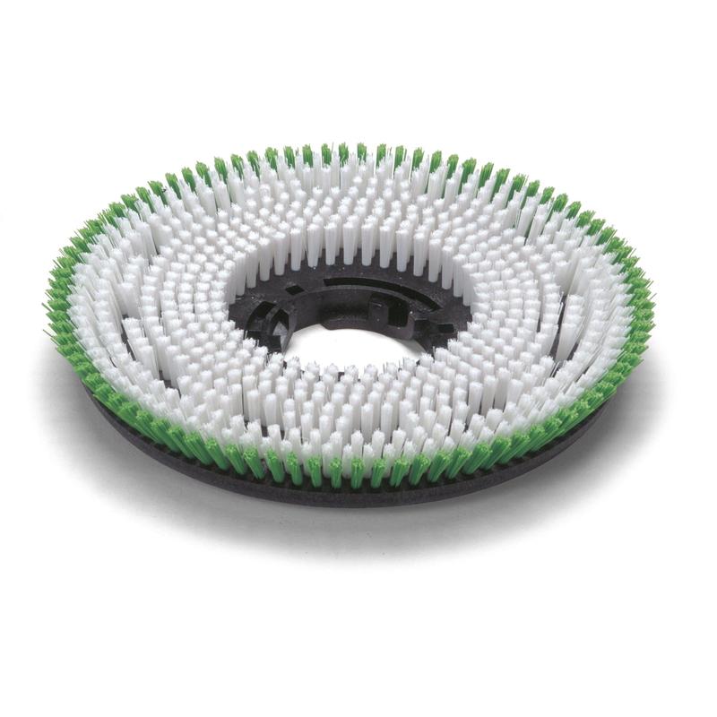 Numatic Octo PPN skrubbebørste 0,6 mm 300 mm til TTV678/TVL850 | Pakke (1 stk)