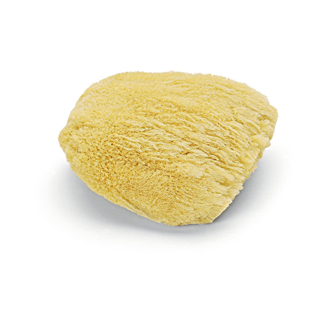 Den Nölle Profi Brush Natursvamp (ca. 17 cm) fra Nölle Profi Brush Børste- & Penselteknik e.K. er en høj kvalitets, blød og porøs rengøringssvamp, afbildet på hvid baggrund for en skånsom, naturlig rengøring.