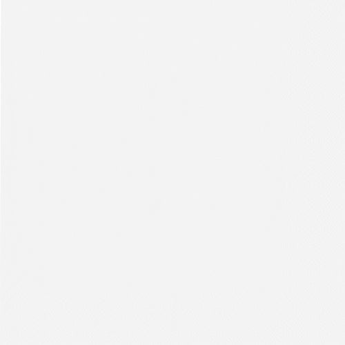 En enkel, ensfarvet hvid baggrund – som ved PAPSTAR 50 servietter, 2-lags 1/4-fold 40 cm x 40 cm fra PAPSTAR GmbH – uden mønster eller iøjnefaldende træk.