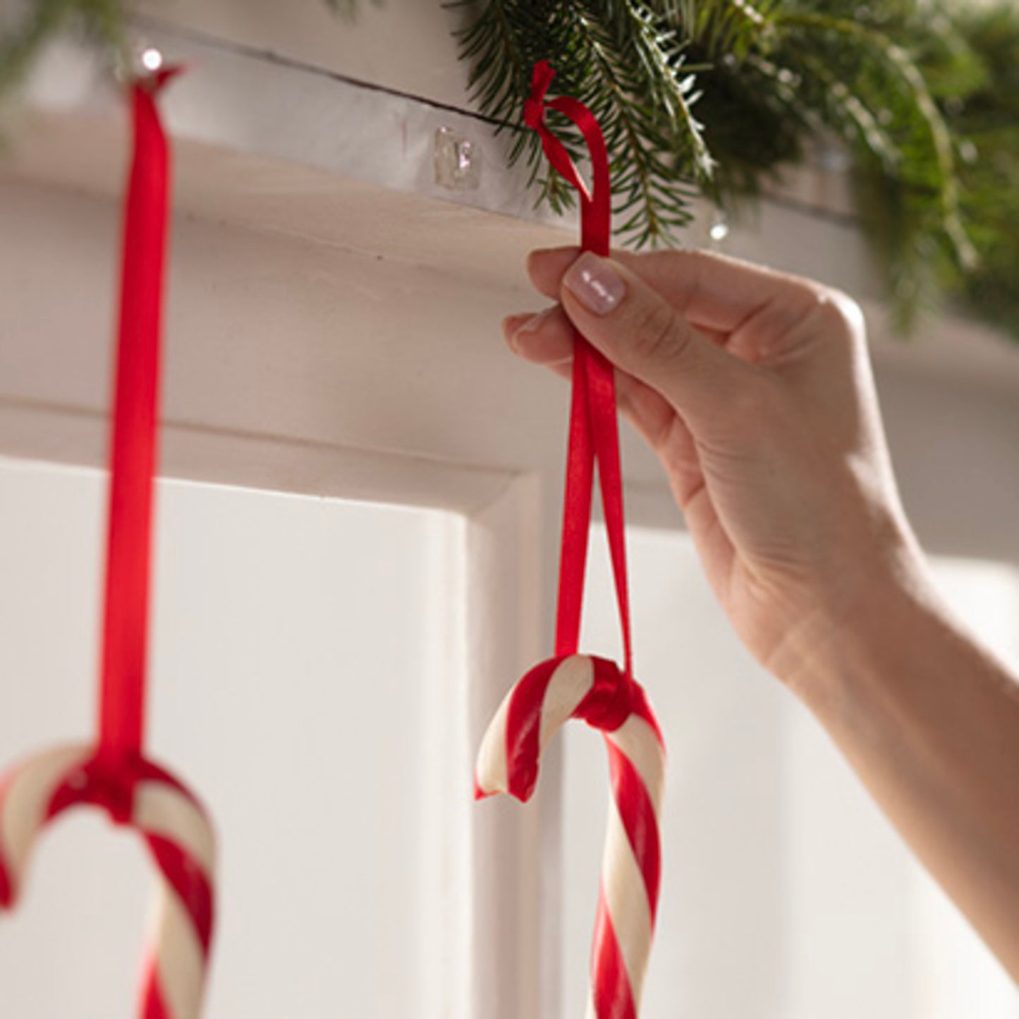 Eine Hand hängt eine Zuckerstange mit einem roten Band an einen Command™ Mini-Haken, transparent, mit transparenten Strips (3M Deutschland GmbH), der unter einem mit immergrünen Zweigen dekorierten Regal angebracht ist. Eine weitere Zuckerstange hängt bereits an dem Haken daneben.