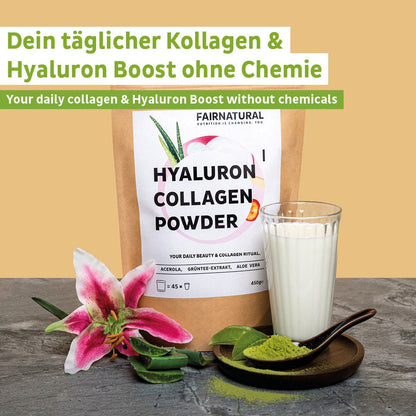 Kollagen hyaluronpulver