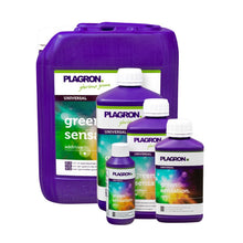 Fünf Plagron Green Sensation-Flaschen von Bertels B.V. in verschiedenen Größen steigern die Pflanzenqualität. Die violetten Flaschen mit weißen Verschlüssen und grün-weißen Etiketten verbessern die Erntequalität, wobei die größte hinten liegt.