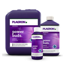 Abgebildet sind drei Behälter des Biostimulators Plagron Power Buds von Bertels B.V. mit violetten Etiketten und weißem Text zur Förderung der Blütenbildung: der größte links, der mittlere rechts und der kleinste in der Mitte.