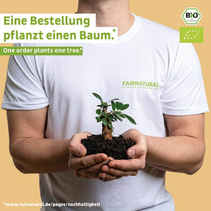 Økologisk vegansk proteinpulver mango uden soja