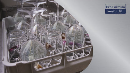 Sun Professional Realer Water til Hartwasser, Saurer Clearer Canister (5 L)